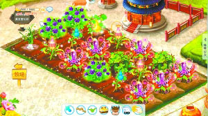 曾經(jīng)風靡一時的“偷菜”可能被取消。圖為一位QQ好友在農場“種”的菜。