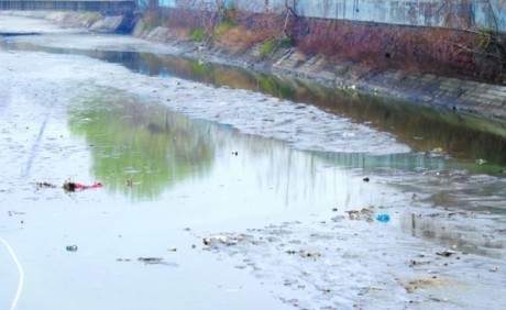 板橋坊河入?？诤拥烙俜e變臭