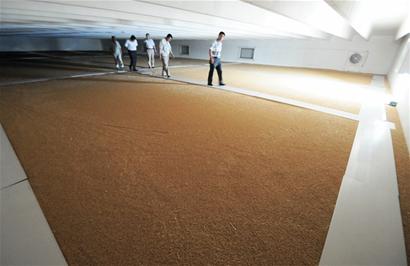 記者揭秘萊西儲(chǔ)備糧庫：火車直接駛?cè)? hspace=