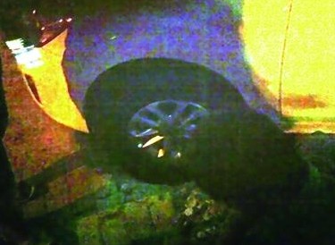 青島古力蓋失蹤連咬過(guò)往車(chē)輛 抬車(chē)就要60塊