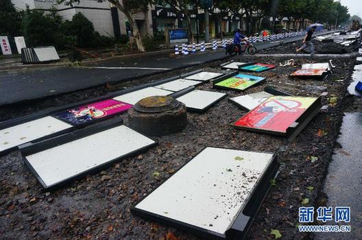 強(qiáng)臺(tái)風(fēng)?？貏?chuàng)杭州 吹斷電線桿拔起大樹