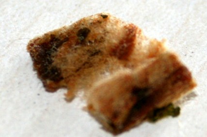 今麥郎方便面吃出香煙過(guò)濾嘴 切成方塊似肉丁