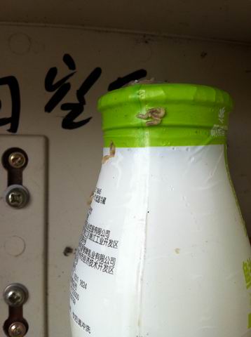 青島瓶裝奶爬滿活蛆 骯臟奶箱成蒼蠅產(chǎn)房