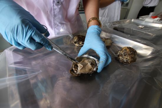 揭秘食品實驗室:毒奶粉轉(zhuǎn)基因物質(zhì)全現(xiàn)形