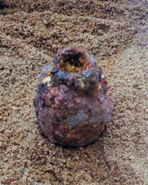 長春路施工挖出菠蘿狀手雷 戰(zhàn)爭時期遺物