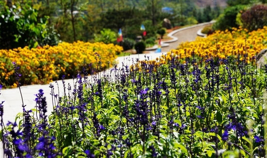 世園會內(nèi)景曝光:繁花似錦 鳥鳴婉轉(zhuǎn)