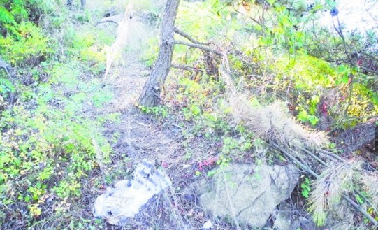 青島漁具店賣(mài)絕戶(hù)網(wǎng)脫銷(xiāo) 捕鳥(niǎo)人1網(wǎng)放10年每天上浮山收鳥(niǎo)