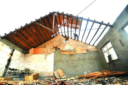 青島村民密林中私建4千平山寨當(dāng)寨主 種滿楊樹(shù)當(dāng)圍墻