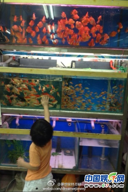 林志穎曬兒子飛車照 贊小kimi自創(chuàng)三輪車新騎法(圖)