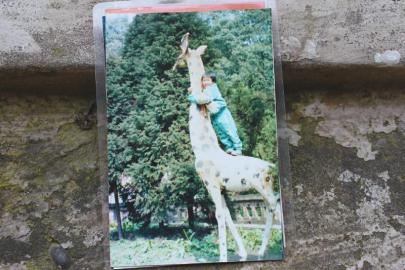 龍龍站在翠屏公園長頸鹿上的照片。圖由受訪者提供