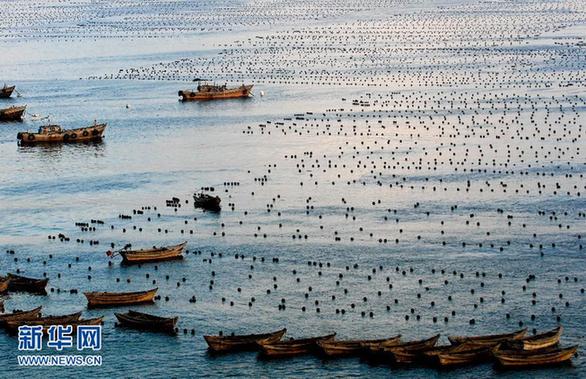 （社會(huì)）（4）我國沿海11個(gè)海洋功能區(qū)劃全部獲批將助推海洋經(jīng)濟(jì)發(fā)展戰(zhàn)略