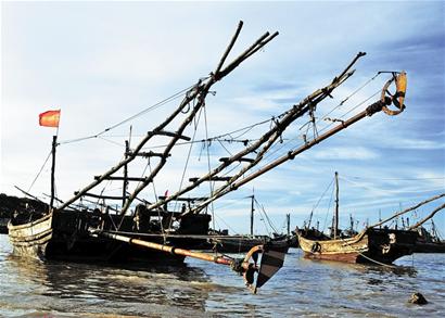 青島難尋海捕海鮮 海捕蟹比養(yǎng)殖蟹貴1倍1只就夠油費