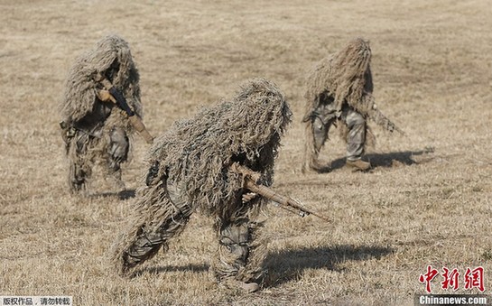 日本陸上自衛(wèi)隊舉行空降演習(xí)