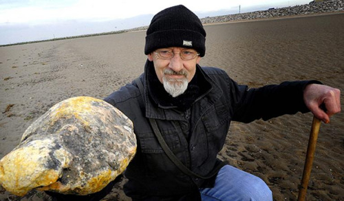 失業(yè)男子肯恩拾得鯨魚的嘔吐物“龍涎香” 價值逾百萬元。