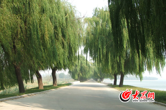 峽山湖國家濕地公園的環(huán)湖公路。