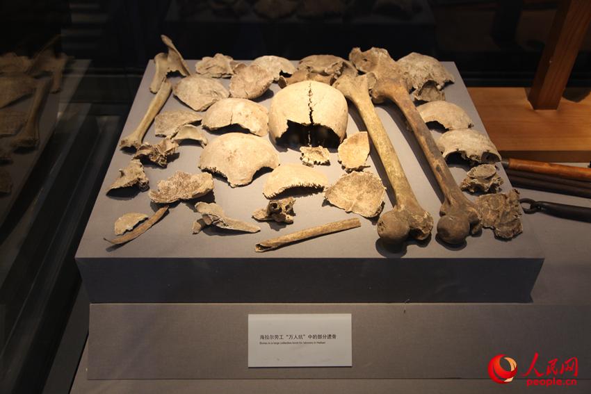 海拉爾勞工“萬人坑”中的部分遺骨。邱越攝